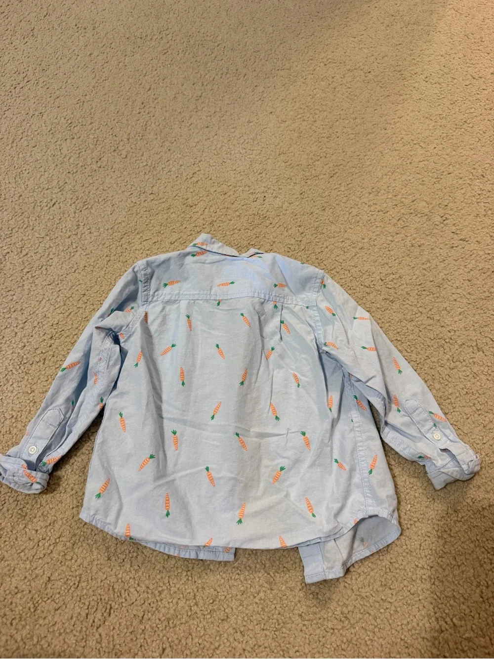 2T The Children’s Place Button Down Carrot Long Sleeve Collared Shirt Easter